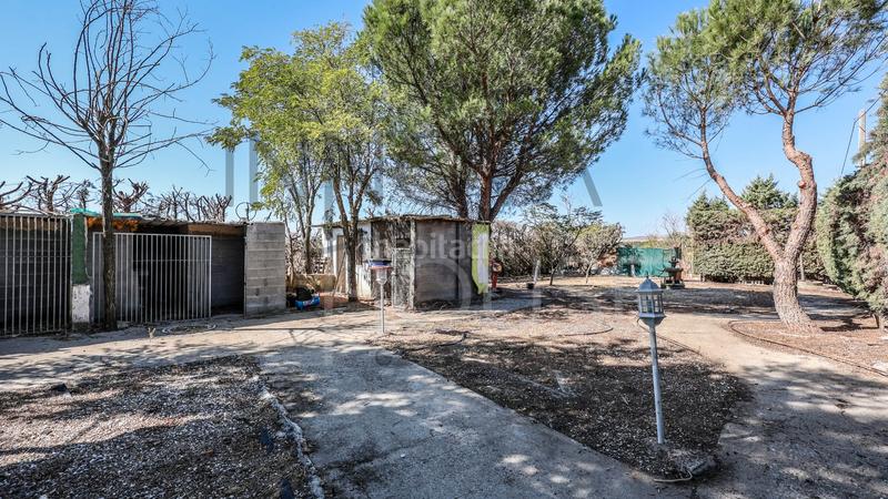 Foto 019ab00b-5686-4928-b434-220cbbc5174a. Chalet casa unifamiliar con piscina en Talamanca de Jarama