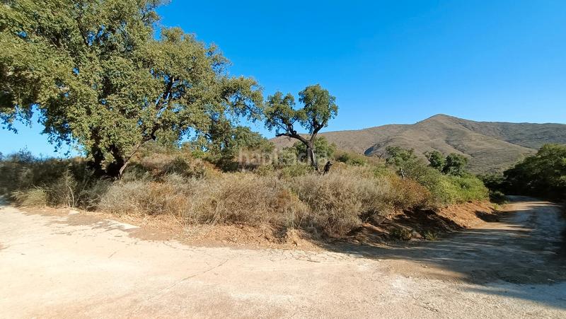 Foto e2c90c74-1842-4617-bb74-5a556c6cc540. Propriété dans urbanización cala golf 1 dans La Cala Golf - Lagar Martell Mijas