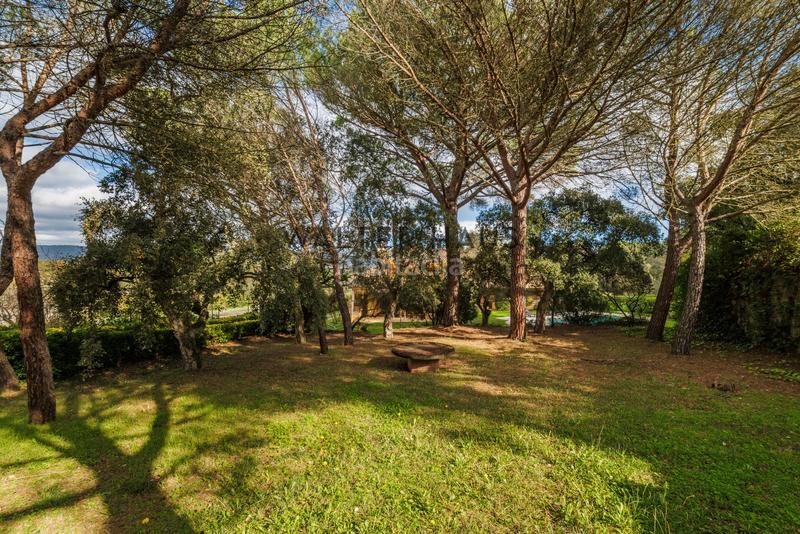 Foto 4da151cf-1433-4c6e-8834-78e4f7859ba4. Chalet mit kamin heizung parking pool in Fenals Platja d´Aro