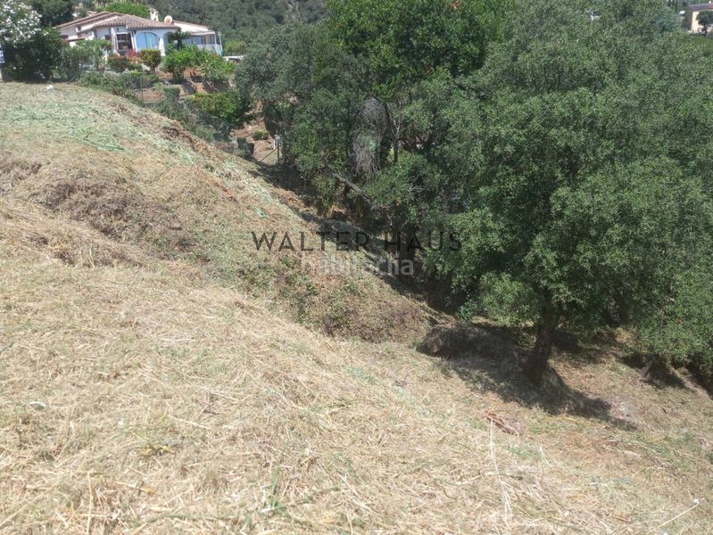 Foto 2efe0744-f30e-42c9-8722-7694408bad88. Terreny residencial a Cabanyes-Mas Ambrós-Mas Pallí Calonge