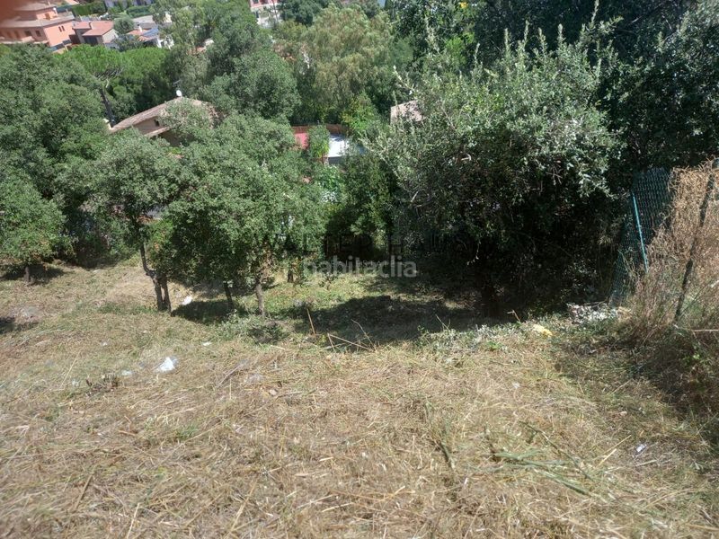 Foto c03a7825-e323-4b0e-ac69-a633a546a5d8. Terreny residencial a Cabanyes-Mas Ambrós-Mas Pallí Calonge