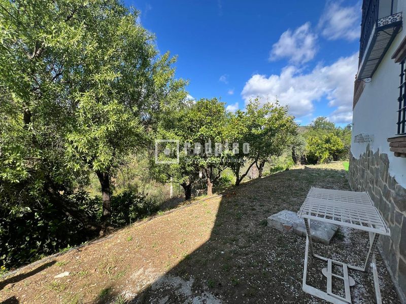 Foto 15ffbade-1df3-4479-b022-e0694e6c1a7d. Casa amb calefacció piscina a Monda