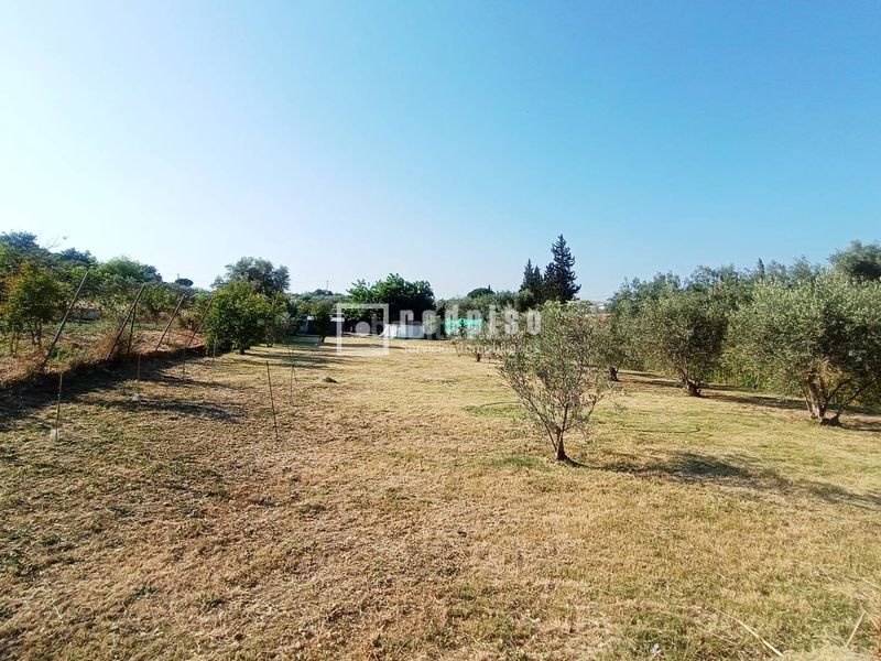 Foto 16b208d1-4e8b-4eab-bde7-4cb327c97324. Casa amb calefacció piscina a Sexmo Cártama