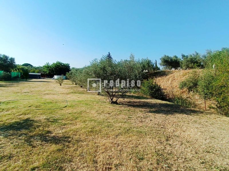 Foto 54288834-0ab9-4d0a-9370-37cd72d05f9b. Casa amb calefacció piscina a Sexmo Cártama