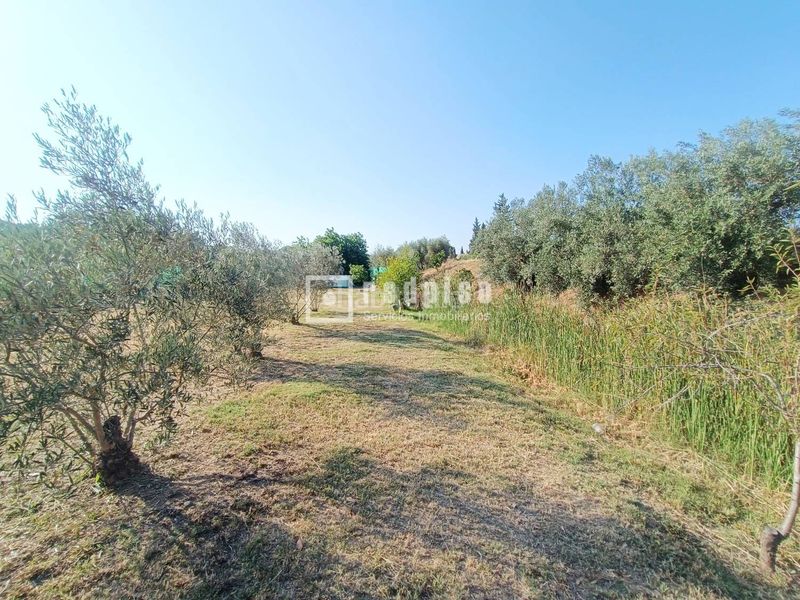 Foto 9588963b-0c41-41e2-b65d-2b09e35ffca3. Casa amb calefacció piscina a Sexmo Cártama