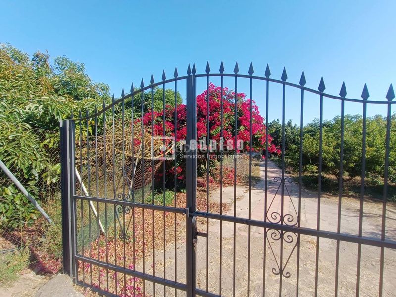 Foto 7838465d-2120-42f1-8a7b-5e2981d64693. Maison dans Capistrano Nerja