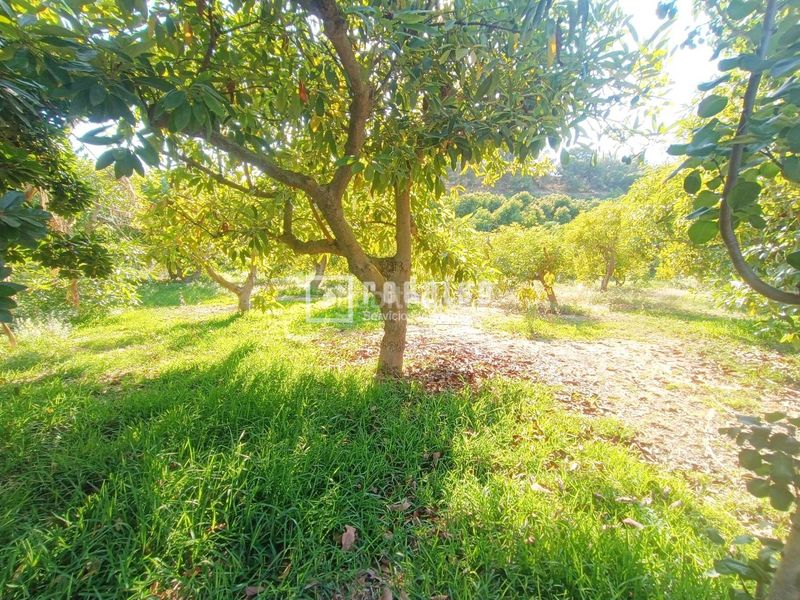 Foto 85d3a0b4-7840-4839-ab64-7656dff88675. Maison dans Capistrano Nerja