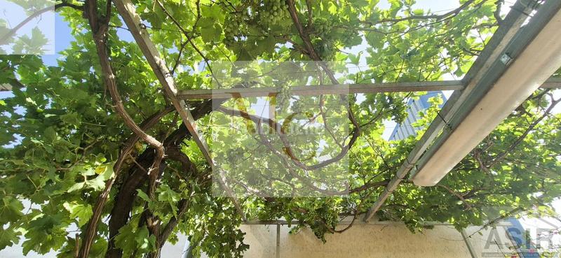 Foto 30fb3eef-c9af-4f2b-abbf-9dc08fff5459. Haus in Algemesí