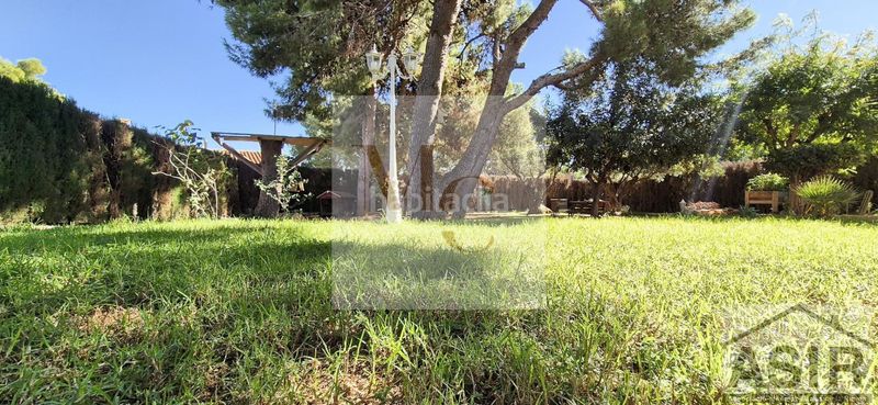 Foto 1336e05e-d7e0-4064-b2ce-6b26fedaadf6. Casa a Benifaió