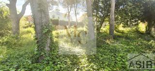 Terreno residencial en Benifaió. Solar urbano de 777 m de uso residencial en venta en benifayó, v