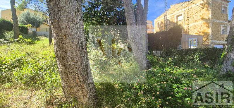 Foto d2cccdd6-20ee-4a9d-b7b9-3cdf9027826a. Wohngrundstück in Benifaió