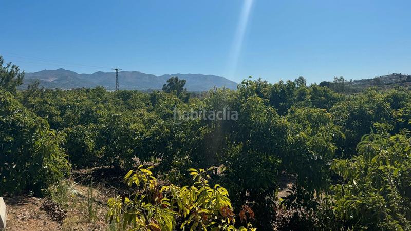 Foto 347bee77-e2f8-4a17-ad16-053b612259c3. Finca rústica en El Romeral-Peñón de Zapata Alhaurín de la Torre