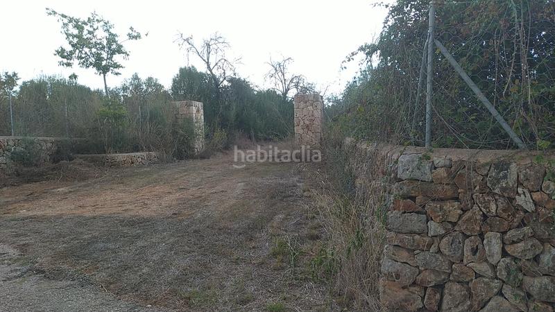 Foto 6176df26-c2f4-4d1b-a901-6cd25b84c9a2. Finca rústica en Sencelles
