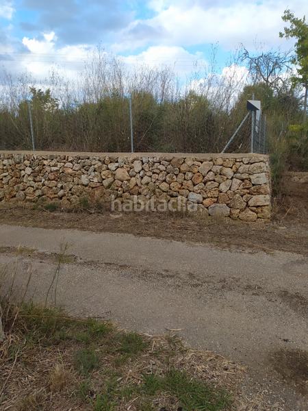 Foto 9959cd9a-8c68-46a1-93fc-de7852cbb132. Finca rústica en Sencelles