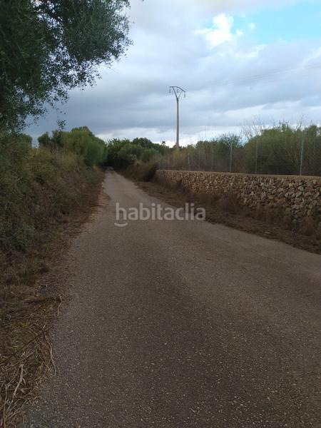 Foto a6f27daa-cde9-4e45-9e5a-56840a939fa2. Finca rústica en Sencelles