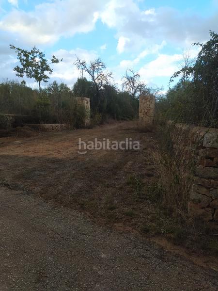 Foto ec312a3c-f4b6-4dc3-ab6b-59e0ea1407ba. Finca rústica en Sencelles