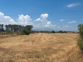 Rural plot in Carrer rafal, d'es 50. Tramuntana home property
