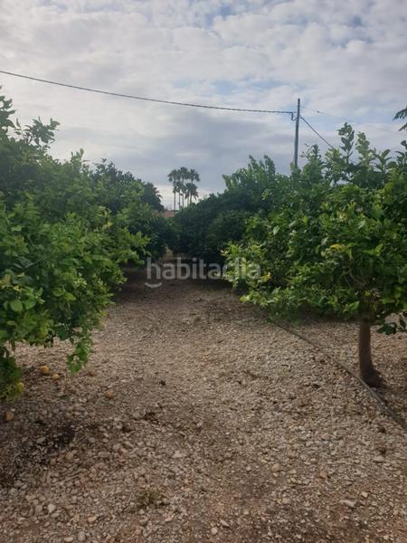 Foto b40764c8-9185-410f-8c52-a878c3346183. Masía terreno con 2 casas en vinaros en Costa Norte Vinaròs