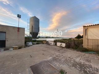Nau industrial a Santa Bàrbara. Granja para explotación de cerdos en santa bárbara