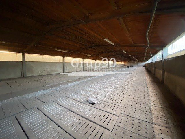 Foto 7b3206d0-c378-44e8-ba70-1e0cbb651ac9. Fabrikhalle in Santa Bàrbara