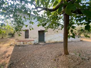 Masia a Ulldecona. Fantástica finca con casa en la miliana