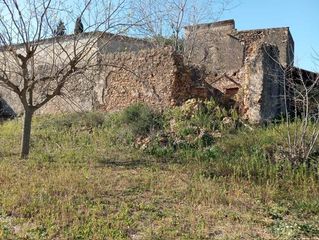 Masía en Masdenverge. Encantador terreno con agua y luz de 1,2 ha
