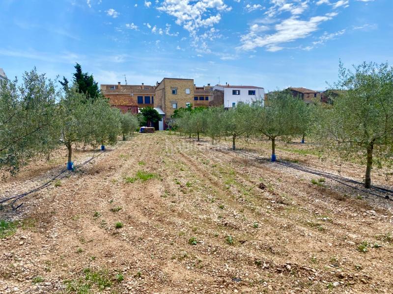 Foto 276d1ffc-0745-477f-9049-0b571b83df6d. Country house with parking in Galera (La)