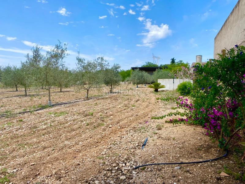 Foto 735e99a9-2007-42f1-b01f-daca0a4fd391. Country house with parking in Galera (La)