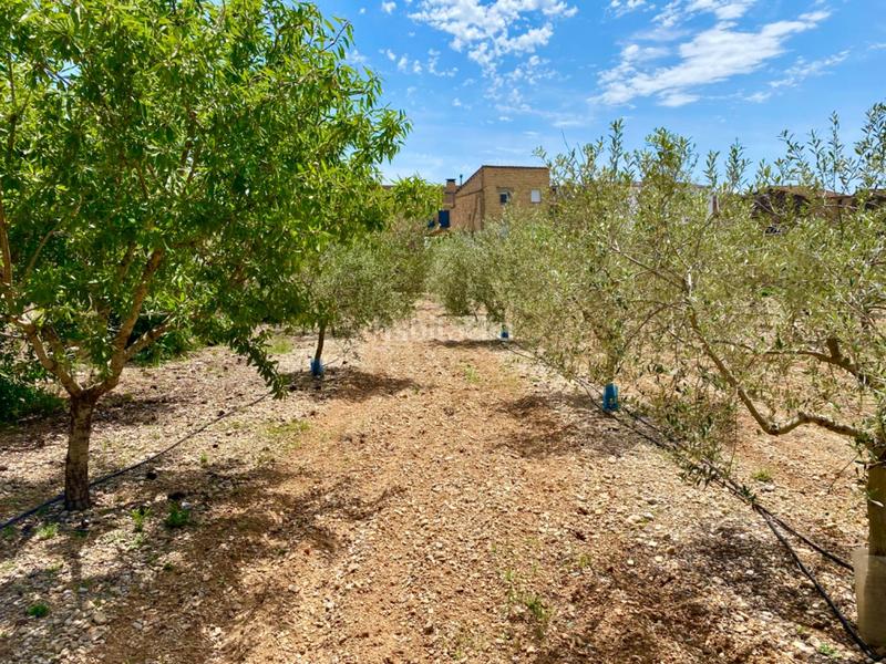 Foto 7606c525-1b96-4fe8-b9ef-e1f5ae07f2c6. Country house with parking in Galera (La)