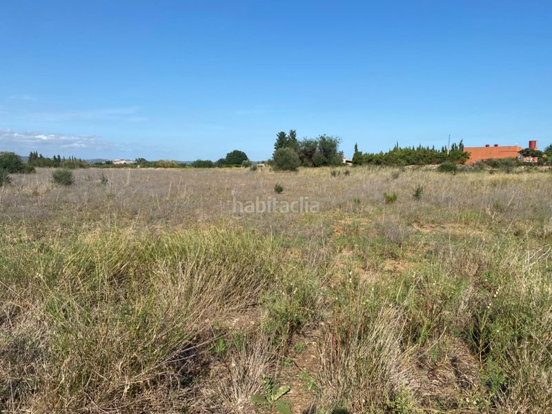 Foto 36c96226-ba8e-4ed9-96ad-8d50d13976b2. Masia a Santa Bàrbara