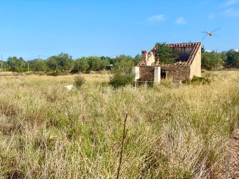 Foto d56623c3-bf5c-4a91-8279-5a28df4e8cd0. Masia a Santa Bàrbara