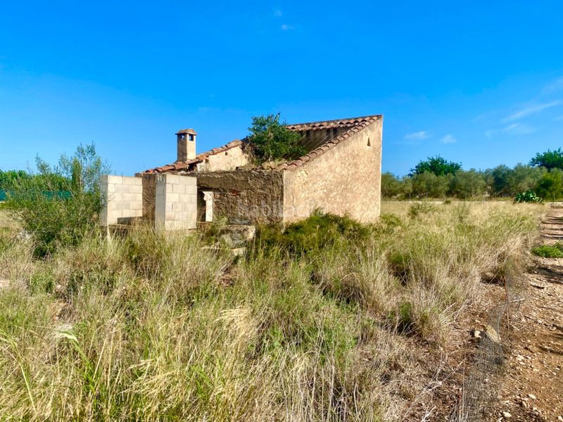 Foto e4b942e7-ad48-46a3-adff-b75f90d77ab3. Masia a Santa Bàrbara