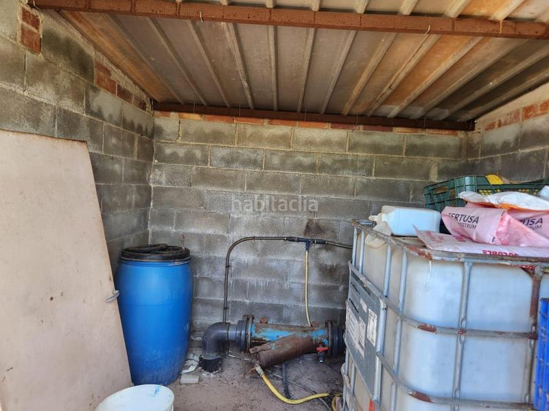 Foto 61c5e26f-699e-49b1-bb73-363d9f3b7459. Finca rústica fantástico terreno de naranjos en Santa Bàrbara