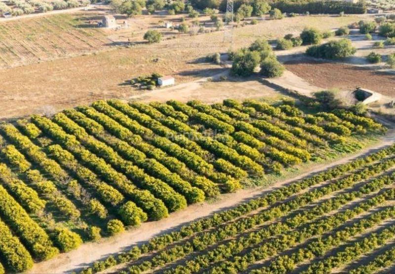 Foto 94e130f4-41e8-4fa1-be6a-becefb0ce77d. Finca rústica fantástico terreno de naranjos en Santa Bàrbara
