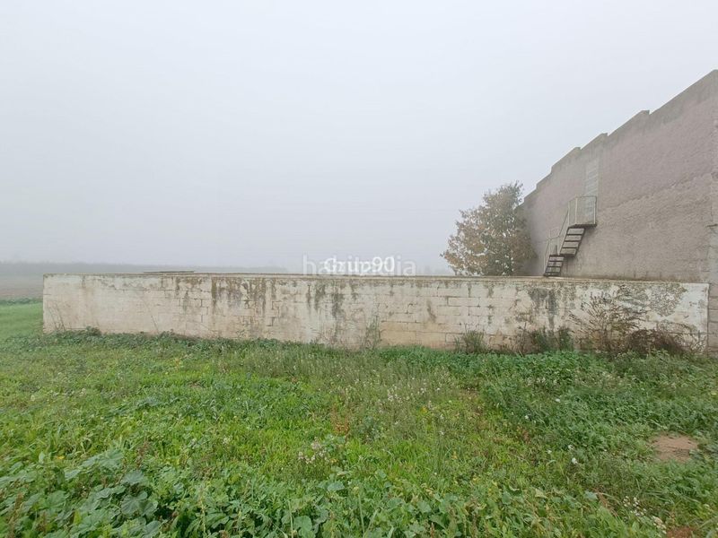 Foto 1eb3669c-d1e0-4fd6-ae7b-f02523f8b16d. Finca rústica a Alcoletge