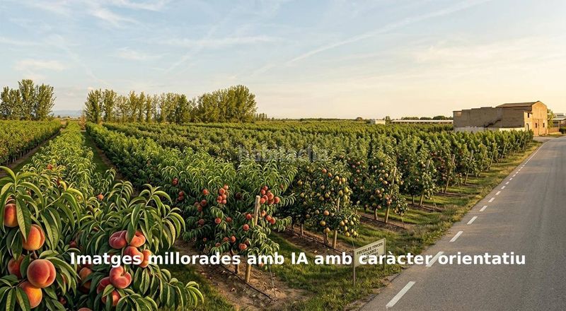 Foto f1e2a86a-d971-45f7-869e-4b9cc7d0c3e4. Finca rústica a Alcoletge