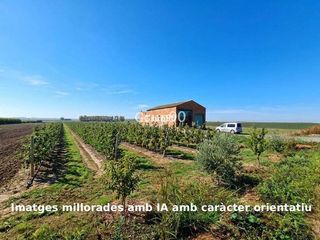 Finca rústica  Polígono polígono 4 parcela 120 argelaga. alcoletge (lleid. Finca de regadío con gran potencial en alcoletge lleida