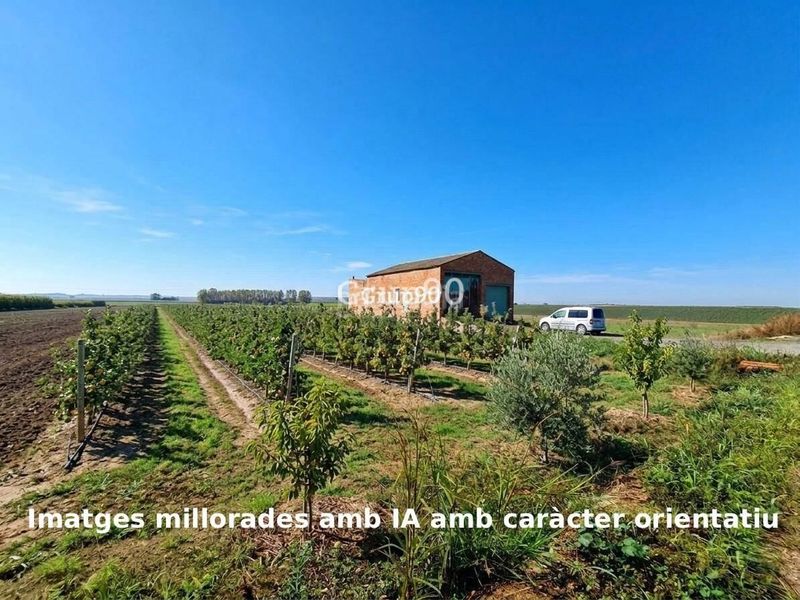 Foto e556845c-d898-4d23-bf9b-53360d1545da. Finca rústica a Alcoletge