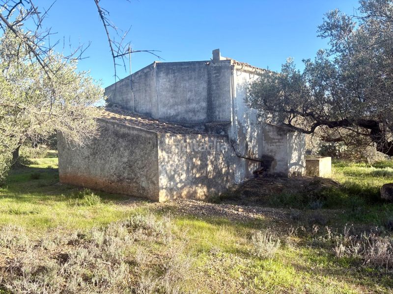 Foto 1216a0d5-b05e-47dc-a295-b6de0d98cbe4. Casa a Ampolla (L´)