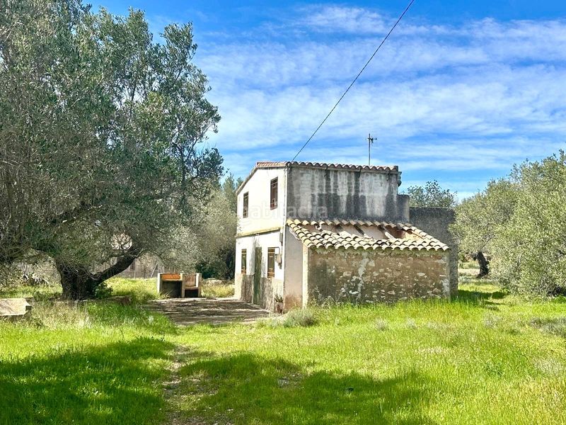 Foto 175df292-067c-4496-9108-1501cc2ced10. Casa a Ampolla (L´)