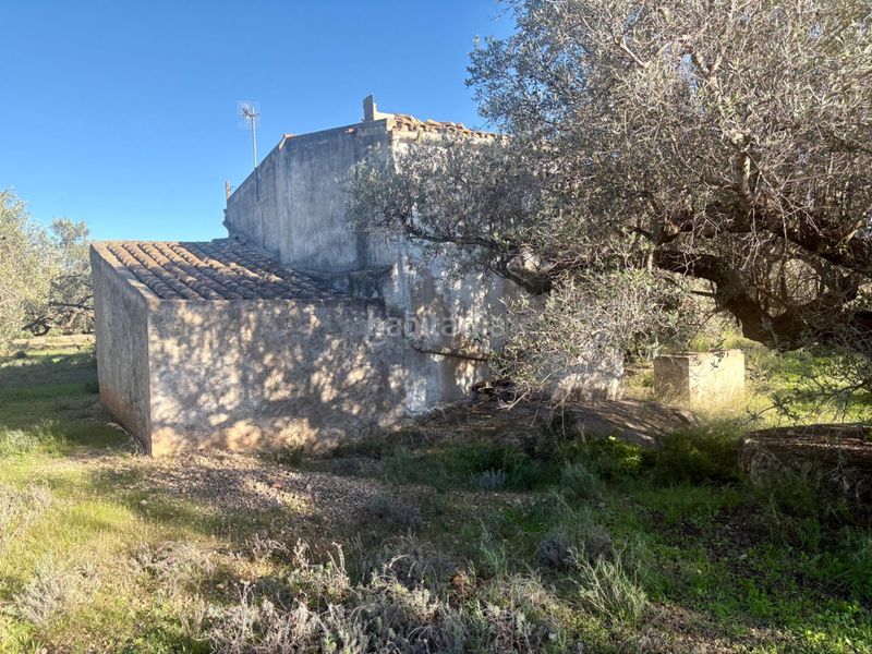 Foto 2ccb462d-b8d4-407b-8812-13ff612f3487. Casa a Ampolla (L´)