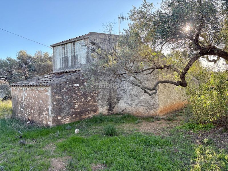 Foto 4746431a-30bf-4a95-ad63-ee0cbf9e782a. Casa a Ampolla (L´)