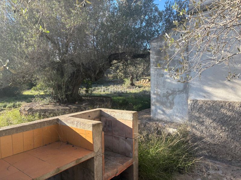 Foto 78352dd5-5ad9-403e-bcbf-5dd02bd7ae86. Casa a Ampolla (L´)