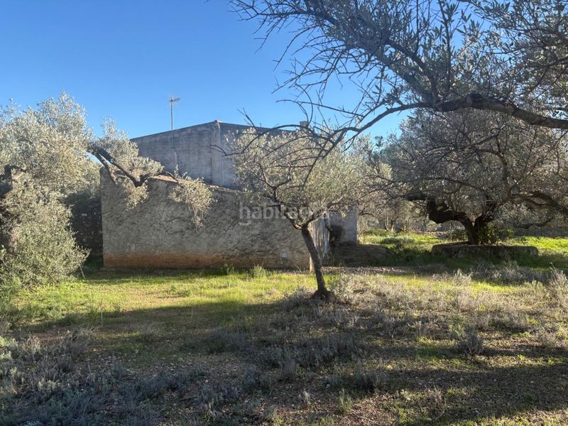 Foto 8f181790-7af1-475f-b614-2a5dd8a30e27. Casa a Ampolla (L´)