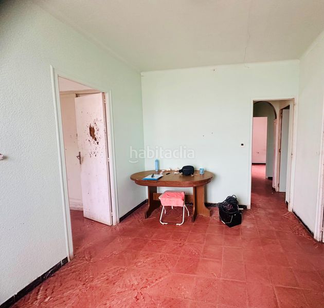 Foto 7652504b-8d0d-4d61-a07e-96b51b16aadd. Pis a Grau - Quintanes Amposta