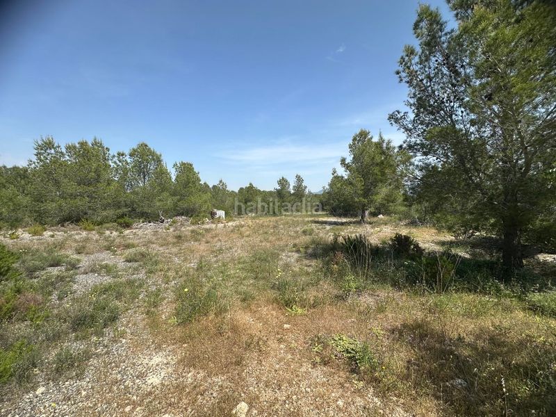 Foto 7531597f-6609-4a17-9628-01984f56c7f9. Masia a Aldover