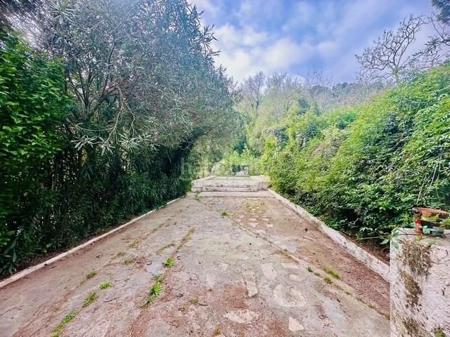 Foto 634bd185-3688-435e-b75f-687371555aab. Masia amb aparcament piscina a Aldover