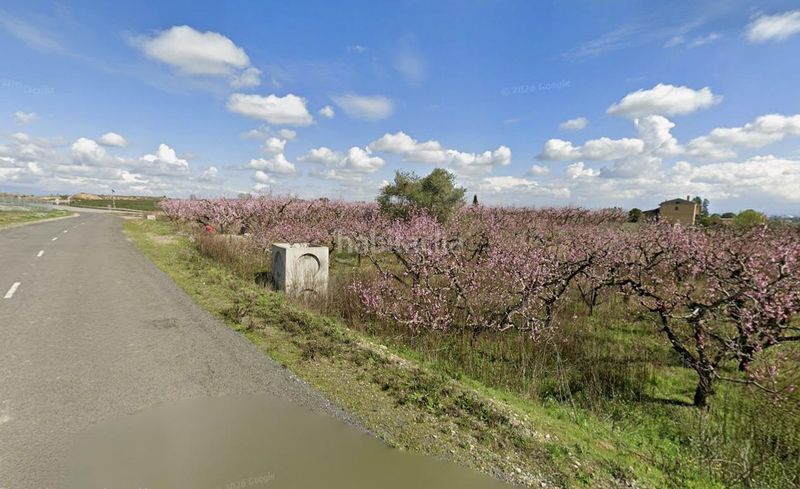 Foto f9c7d58c-dc7e-4442-bd08-1b2bc31836b5. Finca rústica a Centre Històric Lleida