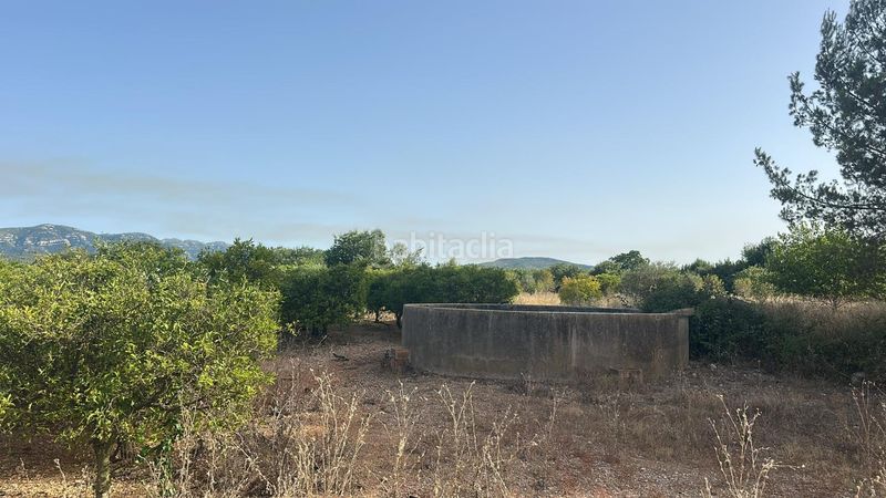 Foto 1e6d84b9-5e60-4970-bdd4-b74623f29ed2. Finca rústica a Masdenverge