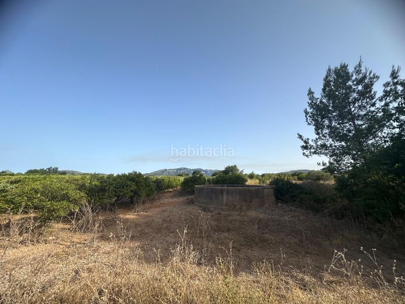 Foto 412f9f37-f48a-41f0-b1aa-afc1cc8bd448. Finca rústica a Masdenverge